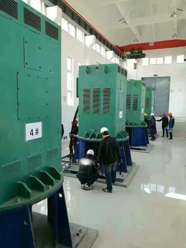 邕宁某污水处理厂使用我厂的立式高压电机安装现场